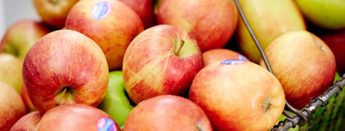 Sustainability—apples-news-item-header-845×321